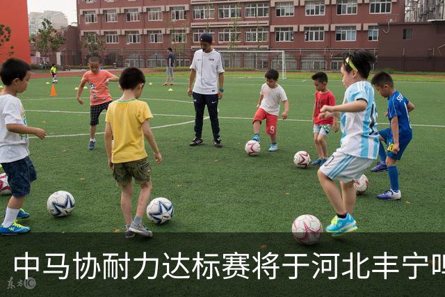 中马协耐力达标赛将于河北丰宁鸣枪 数十家专业马术俱乐部角逐