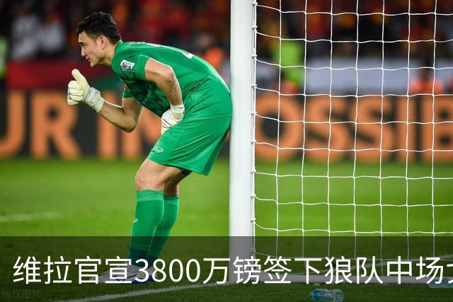 维拉官宣3800万镑签下狼队中场戈麦斯