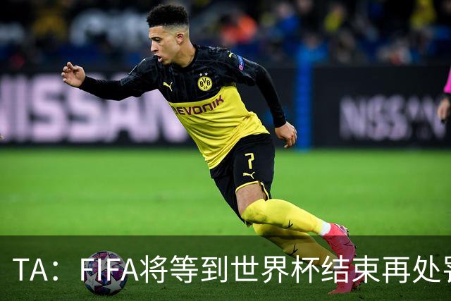 TA：FIFA将等到世界杯结束再处罚对裁判发表不当言论的球员和教练